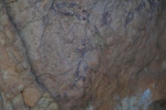 Pintures rupestres de la Cova dels Cavalls. Barranc de la Valltorta