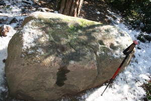Pedra amb inscultures de Collserola