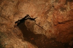 Cova de l’Olla (Aiguaviva, El Montmell)