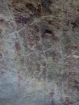 Pintures rupestres de la vall de la Coma. L’Albi, les Garrigues