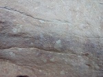 Pintures rupestres de la vall de la Coma. L’Albi, les Garrigues